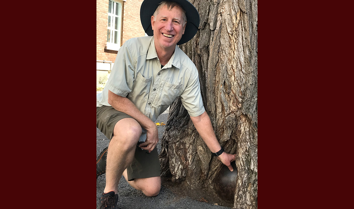 Eugene Procknow Norwich University Online